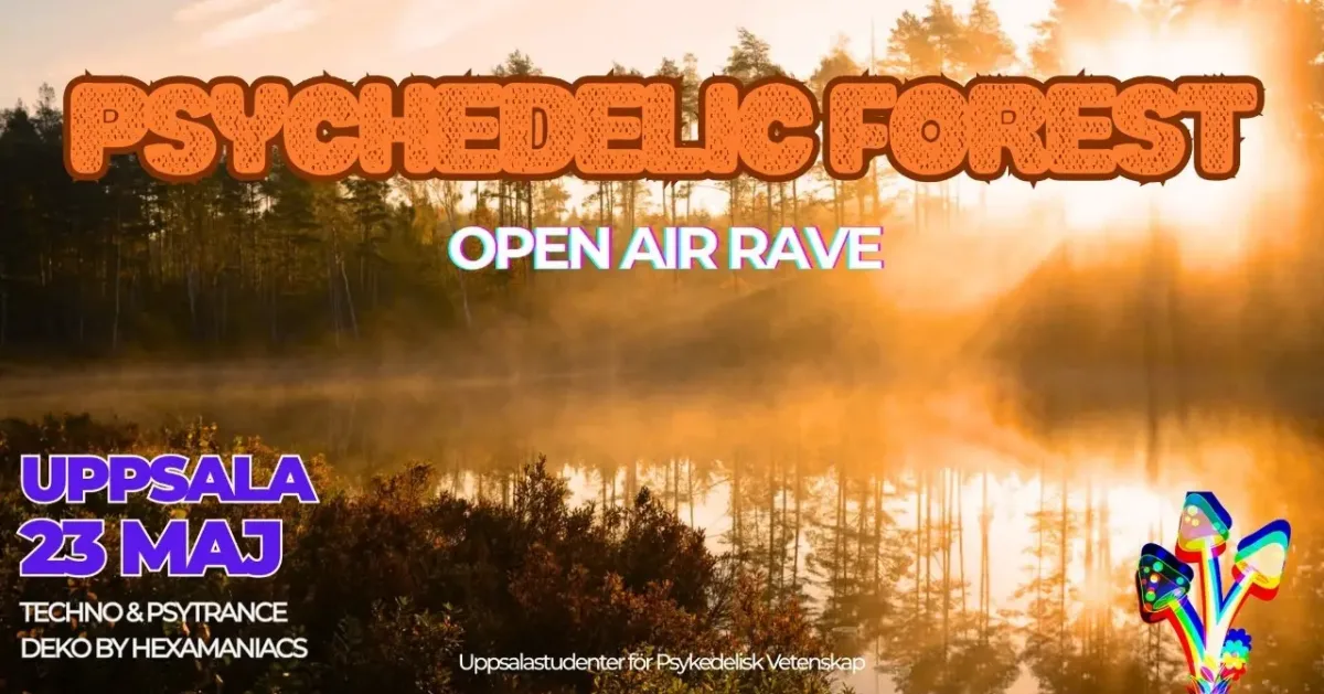 psychedelic forest